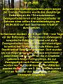B Info